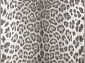 OSTA PIAZZO 12279 910