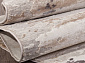 STAR P514B M.L.BEIGE / L.GRAY Овал