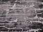 TEMPO 0101QB C.POLY L.GREY / D.GREY Круг