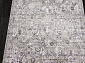 OLIMPOS M264A C.D.GRAY / D.GRAY