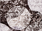 OLYMPOS 2 d346 LILAC