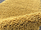 SHAGGY TREND L001 YELLOW