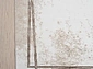 Planeta 0162A Cream-Brown