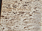 YUTA 0T335RG VIZON / VIZON