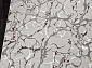 SILVER F389 GRAY