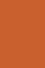 шегги Rainbow Shaggy PC00 orange