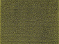 LANA-A T600 GREEN 2