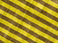 Candy Stripes Green