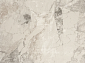 CELESTE VE002A CREAM / CREAM