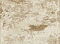 Ковровая Дорожка NIKA PR02 BEIGE