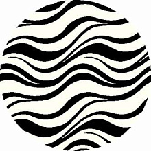 SHAGGY ULTRA s609 BONE-BLACK Круг