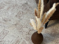 CELESTE VE006A CREAM / CREAM