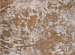 DEEP OCEAN 0156CA D.BEIGE / CREAM