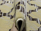 AMASYA 9007C BEIGE / L.BROWN
