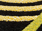 RIO NC76 BLACK