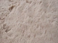 из искусственного меха Krolik 1000A T2408_BEIGE шкура