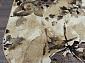 SUNRISE 2 D440 GRAY-BEIGE Овал