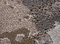 GRAFF F238 GRAY-BEIGE