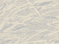SKAT F645 CREAM-GRAY