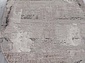 BRAND O1899 995 GREY / GREY Овал