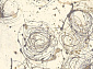  ALABASTER Kianta W linen