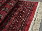 BELUCHI 961404 1616 V