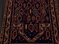 Azerkhalcha SHIRVAN 702