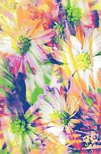 детский с цветами FUNKY TOP MAG honey