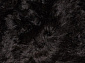 GANGA black