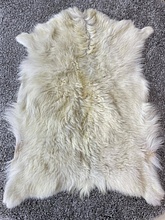 Козья K016 000