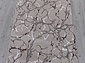 Ковровая Дорожка SILVER F389 GRAY