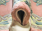 90 LINE WOOLEN HANDK-KNOTTED 6057 PINK