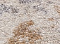TORNADO F149 BEIGE