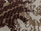 QUANTUM 03011B BROWN / BROWN Овал