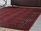 BELUCHI 961557 1616 V
