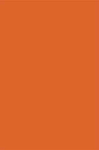 SHAGGY ULTRA s600 ORANGE