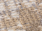 NATUREL F230 BEIGE