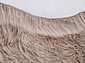 Овчина Sheepskin Sheepskin 195x190 светло бежевый