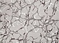 SILVER F389 GRAY