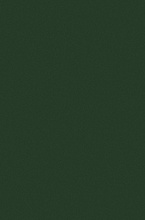 Ковровая Дорожка COLIZEY P000 GREEN