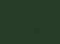 Ковровая Дорожка COLIZEY P000 GREEN