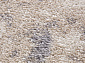 TORNADO F152 BEIGE