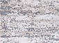 Euphoria-A 13103 CREAM-SILVER-BG V