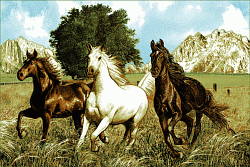 Ковер Ландшафт 50380-01