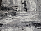 PALERMO F279 DARK GRAY Овал