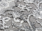 ARMINA GA075G GREY / GREY Овал