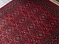 BELUCHI 961557 1616 V