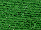 Ковровая Дорожка с искусственной травой GRASS G001 000