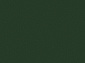 Ковровая Дорожка COLIZEY P000 GREEN
