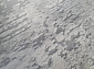 винтажный Canyon 52023 6484